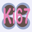 Ki67 scoring app icon