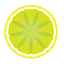 Lemon Garden icon