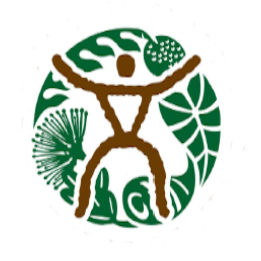 HawaiiAir app icon