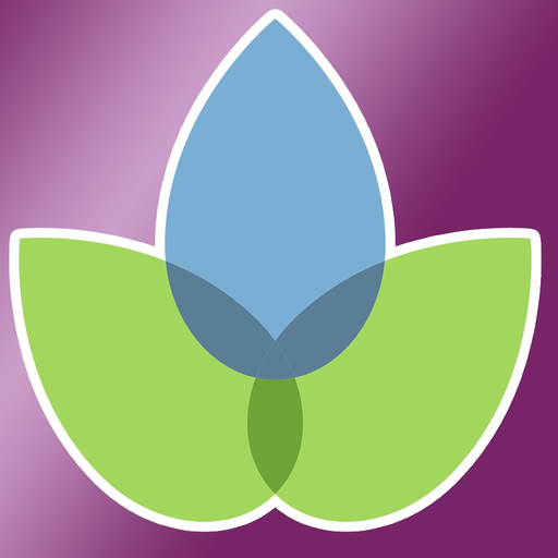 Modern Essentials Plus app icon