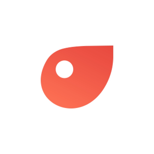 Inspeções app icon