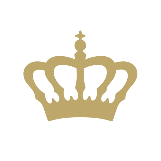 C. BECHSTEIN VARIO app icon