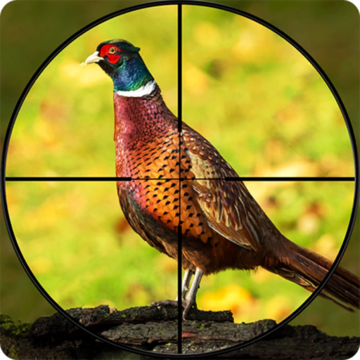 Bow Pheasant Bird Hunting Game app icon
