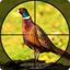 Bow Pheasant Bird Hunting Game icon