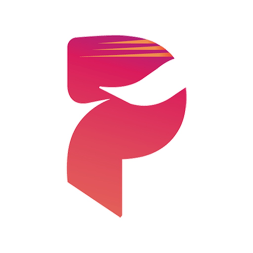 GoPaynet app icon