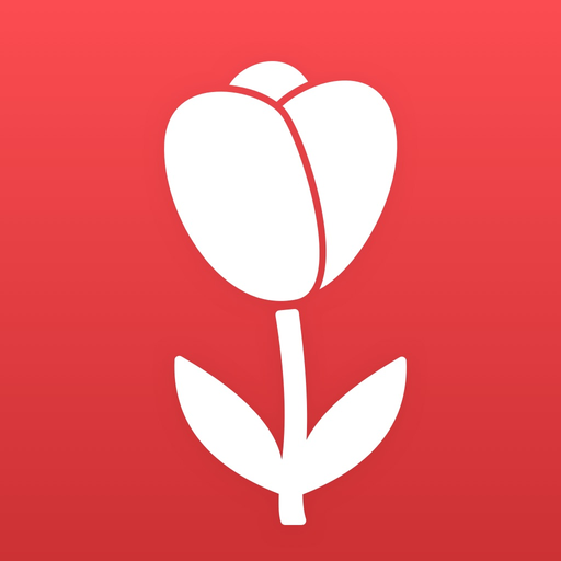 Locket Photos app icon