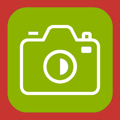 PicOrg private app icon