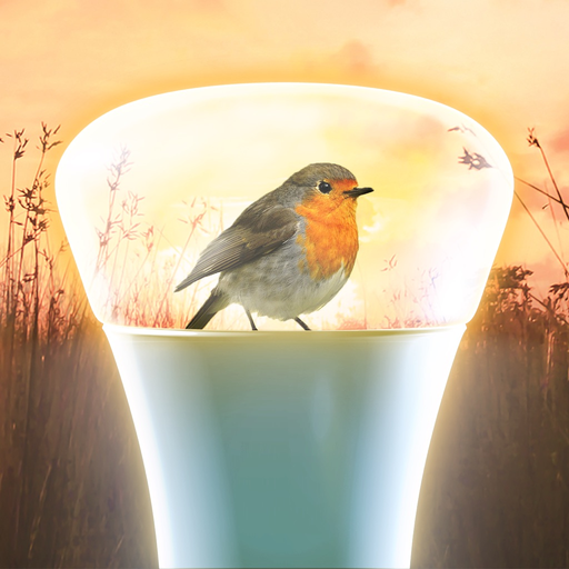 Hue Outdoor app icon