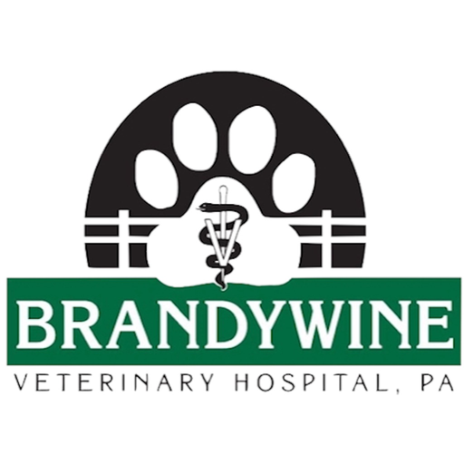 BrandywineVet app icon