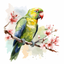 Watercolor Beautiful Birds icon