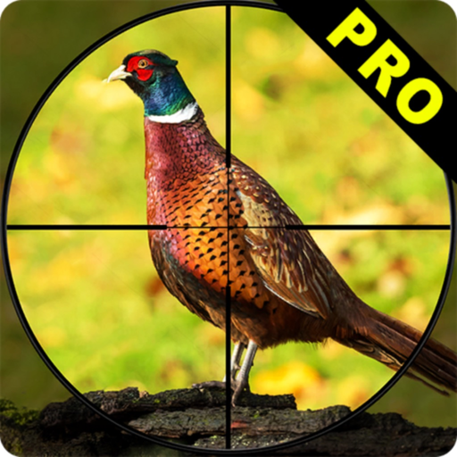 Pheasant Bow Hunting Pro app icon