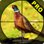 Pheasant Bow Hunting Pro icon