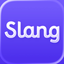Slang: Professional English icon
