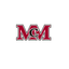 MCM Rec icon