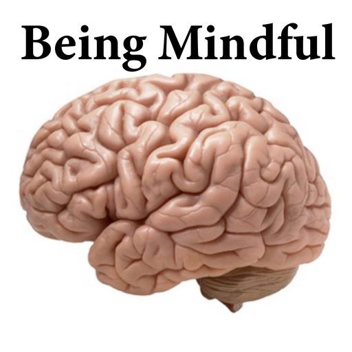 Being Mindful app icon