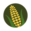 Longview Community Mobile icon