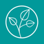Folia: Chronic Symptom Tracker icon