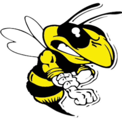 Mad Wasp Radio app icon