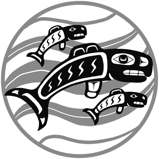 Saseenos Elementary School app icon