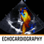 Echocardiography Textbook icon