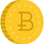 Simple Bitcoin Price Tracker icon