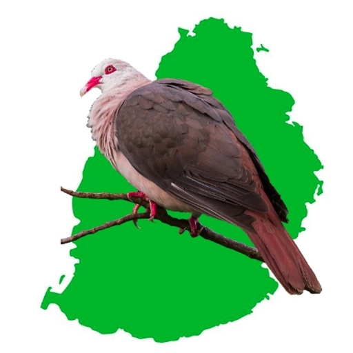 Birds of Mauritius app icon
