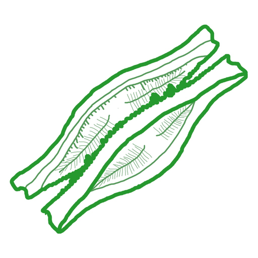 SilicaTally app icon