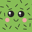 Cactus Companion icon