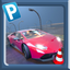 Car Parking - Pro Driver 2021 icon