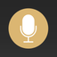Prank Spoof Voice Changer Plus icon