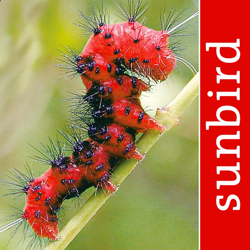 Caterpillar Id USA East Coast app icon