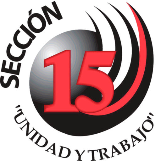 Sección 15 app icon