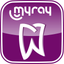 MyRay Remote Panel icon