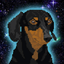 Space Dog Cru icon