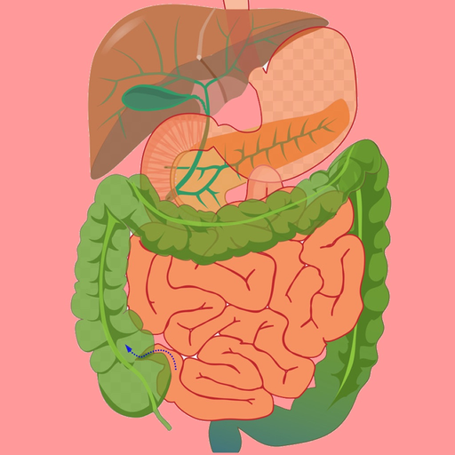 Digestive System Flashcards app icon