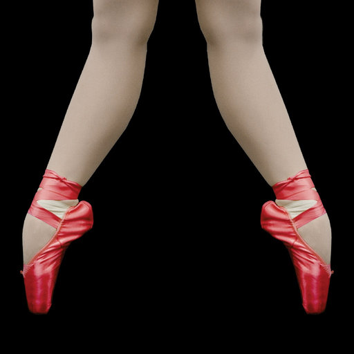 Ballet Music by Delma Nicolace app icon