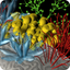 Unexpected Growth icon