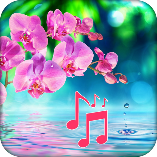 Stay Calm - Relaxing Melodies app icon