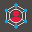 BDO Connector icon