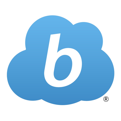 Bidstation app icon