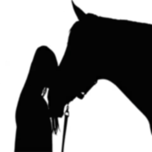 Horse Quiz app icon