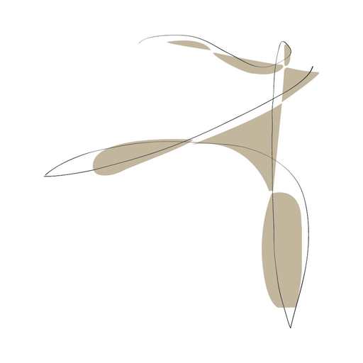 SJ Ballet app icon