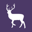 Stockeld Park icon