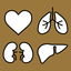 VUMC Transplant icon