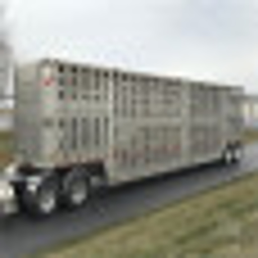 Livestock Truck Allocation app icon