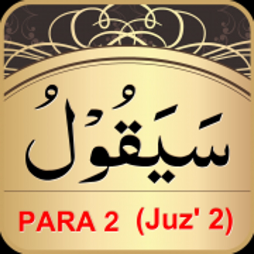 Color coded PARA 2 app icon