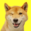 Good Morning Dogs Stickers icon