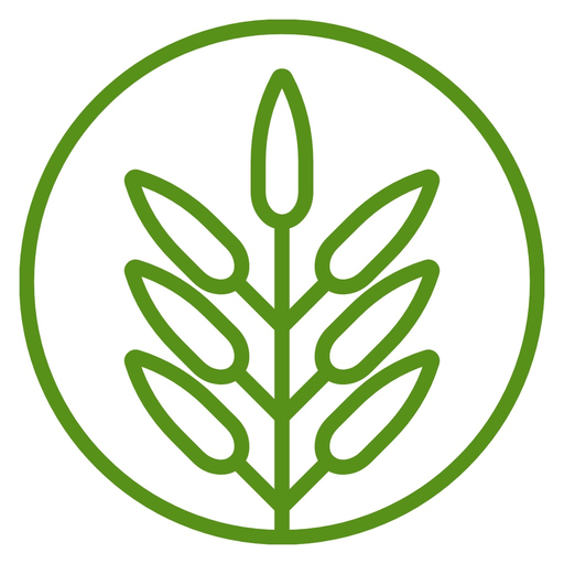Montane Ranch app icon