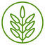 Montane Ranch icon
