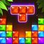Block Puzzle Jewel . icon